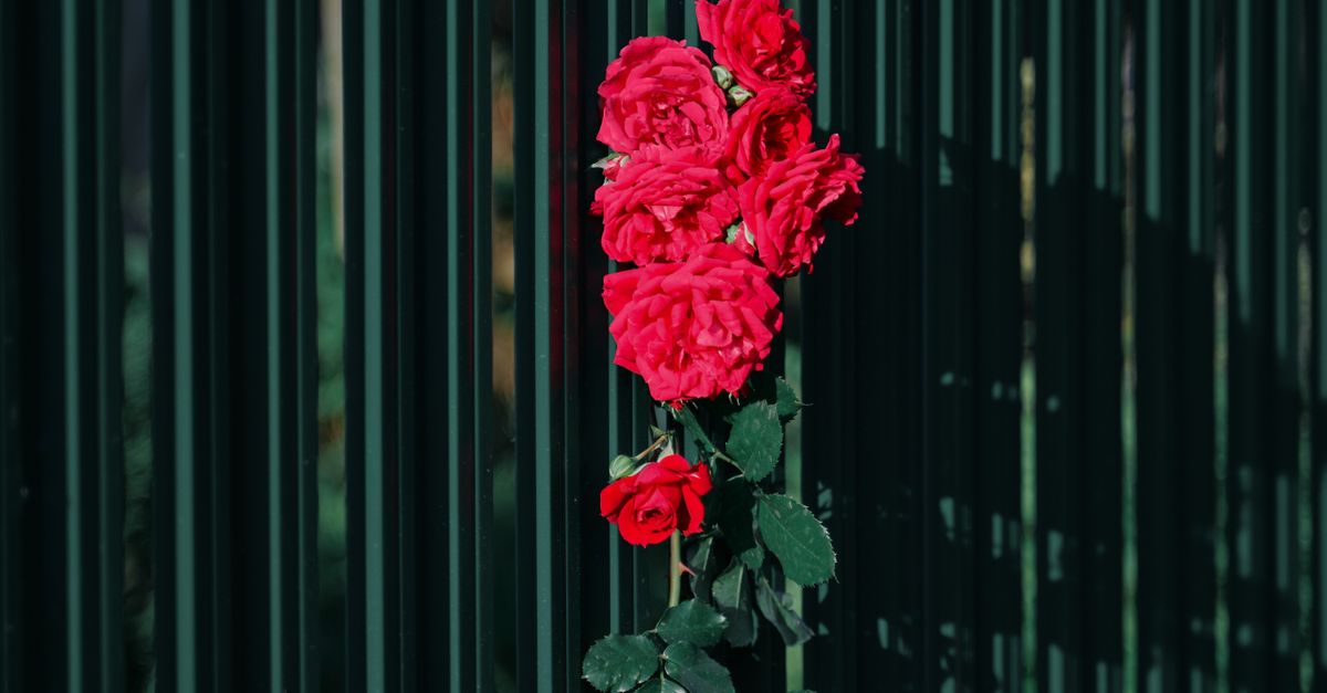 Essential Weather-Resistant Treatments for Colorbond Materials