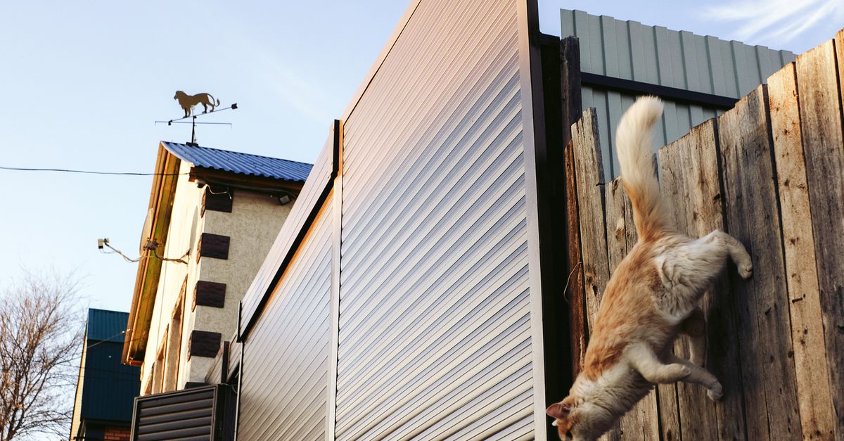 How to Choose the Right Custom Colour for Your Colorbond Fence