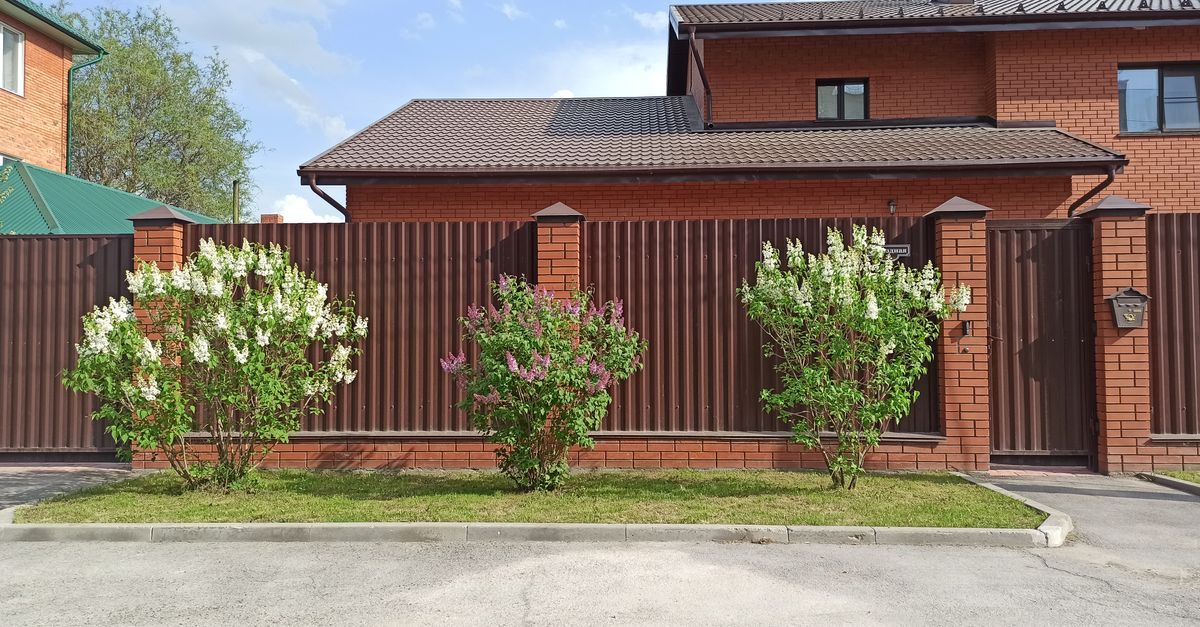 Impact of Melbourne's Winds on Colorbond Fence Stability