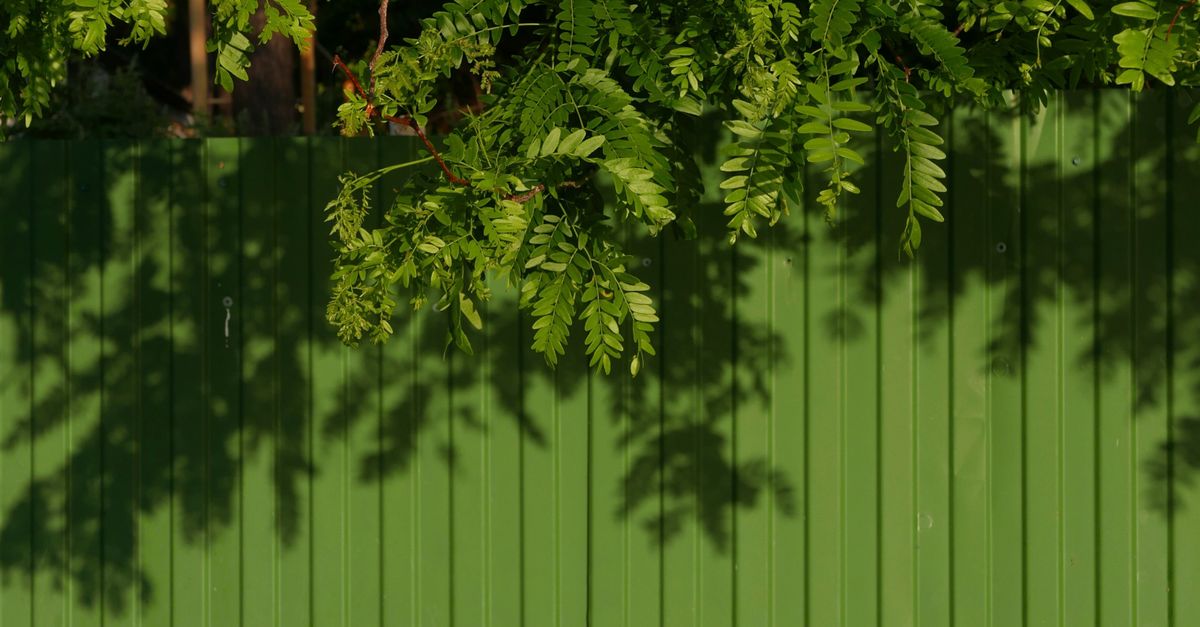 The Role of Waxing in Colorbond Fence Maintenance